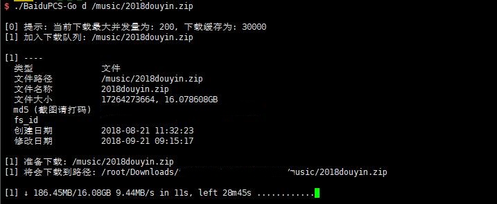 BaiduPCS-Go下载器加速百度网盘下载