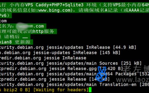 小内存Debian一键安装Caddy/PHP7/Sqlite3及快速建站-夜河资源网
