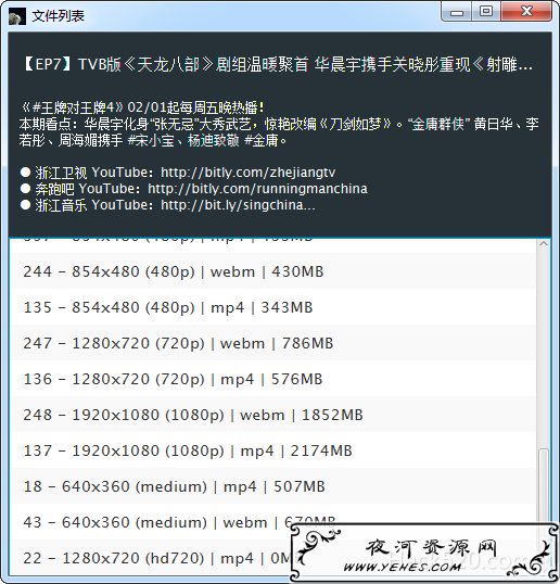 Video Download Manager