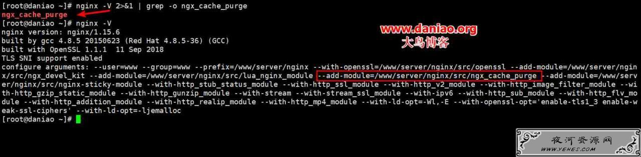 BT(宝塔面板)-WordPress开启Nginx fastcgi_cache缓存加速