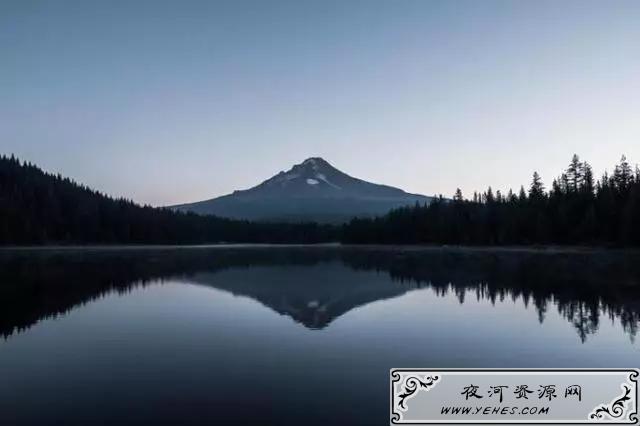 6.webp.jpg