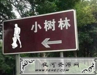 “带你去小树林”是什么梗？