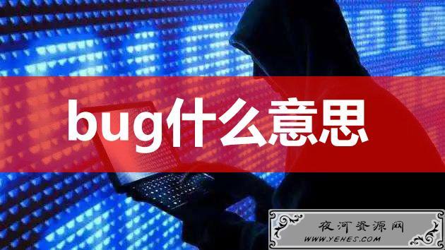 【网络用语】“BUG”是什么意思？