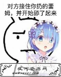 “丢你雷姆”是什么意思?