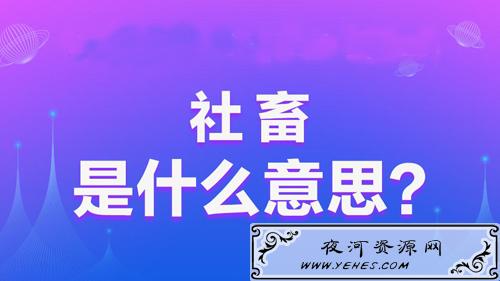 【网络用语】“社畜”是什么意思？