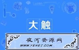 网络上的“大触”是什么意思?