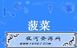 【网络用语】“菠菜”是什么意思？