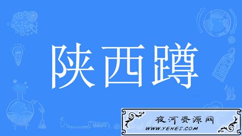 “陕西蹲”是什么意思？