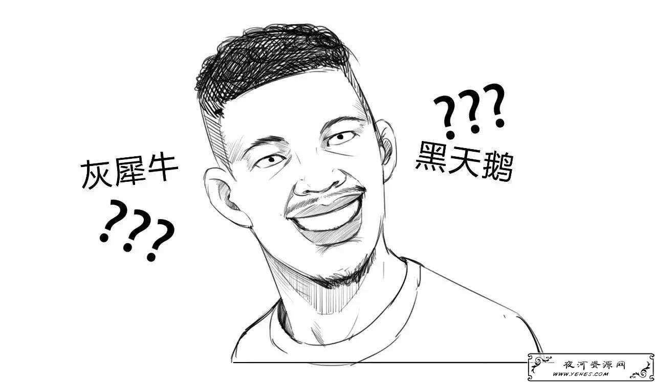 “黑天鹅事件”和“灰犀牛事件”是什么意思？