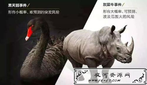 “黑天鹅事件”和“灰犀牛事件”是什么意思？