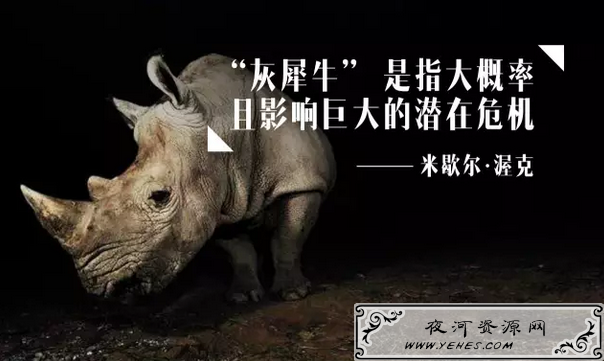 “黑天鹅事件”和“灰犀牛事件”是什么意思？