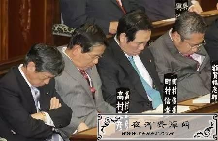“日本眯”是什么意思？