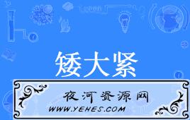 “矮大紧”是什么意思？