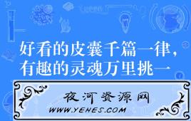 “好看的皮囊千篇一律,有趣的灵魂万里挑一”是什么意思？