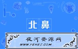 网络上的“北鼻”是什么意思？
