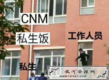 网络上的“私生饭”是什么意思？