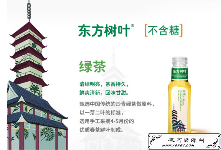 “东方树叶女孩”是什么意思？