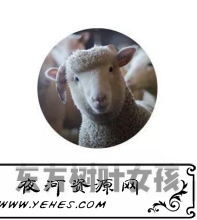 “东方树叶女孩”是什么意思？