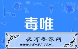 网络上的“唯粉”和“毒唯”是什么意思？