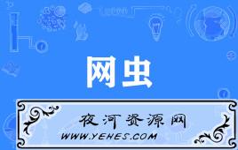 “网虫”和“网卵”是什么意思？