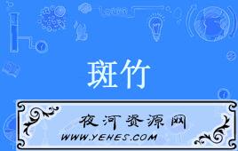 网络上的“斑竹”是什么意思？