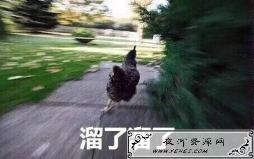 “溜了溜了”是什么意思？