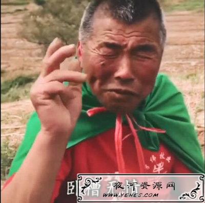“卧槽无情”是什么意思？