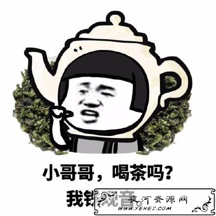“网恋吗我铁观音”是什么意思？