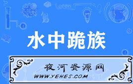 “水中跪族”是什么意思？