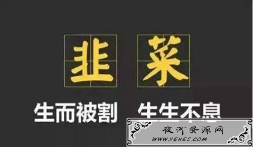 “割韭菜”是什么意思？