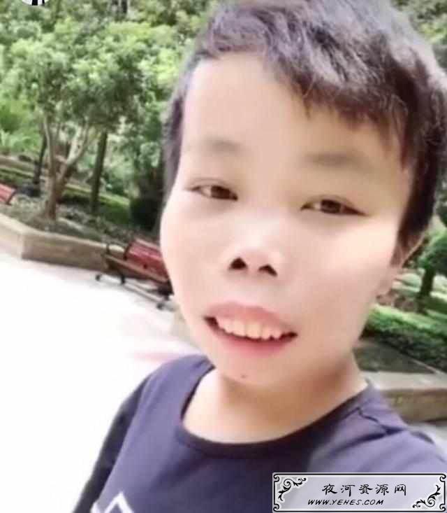 “青蛙”和“恐龙”是什么意思？