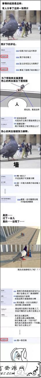 “鸽子为什么这么大”是什么梗？