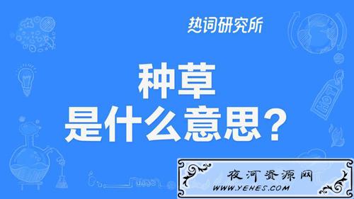 “种草”和“拔草”是什么意思？