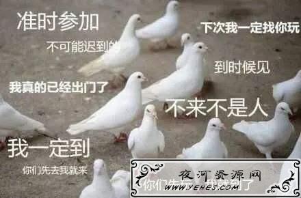 “人类三大本质”是什么梗？