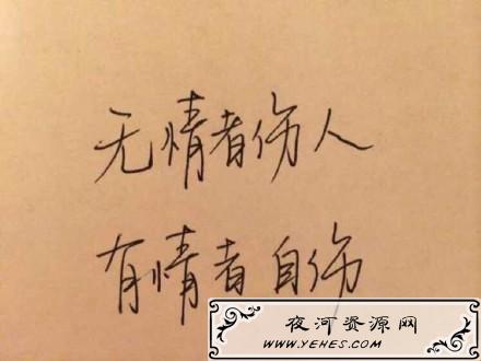 “无情者伤人，有情者自伤”是什么意思？
