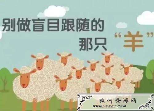 “羊群效应”是什么意思？