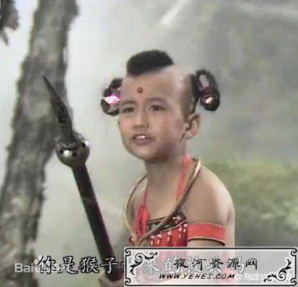 “你是猴子请来的逗比吗”是什么意思？