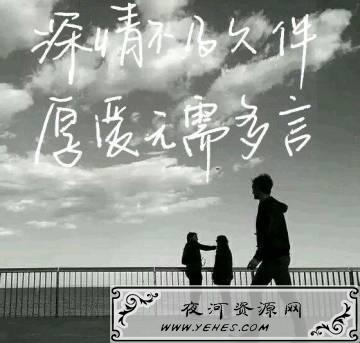 “深情不及久伴，厚爱无需多言”是什么意思？