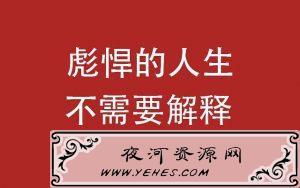 “彪悍的人生不需要解释”是什么意思？
