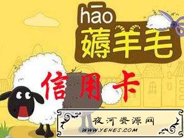 “羊毛党”和“薅羊毛”是什么意思？
