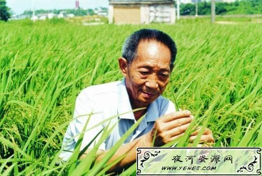 “我最大的错误就是让你们吃的太饱了”什么意思？