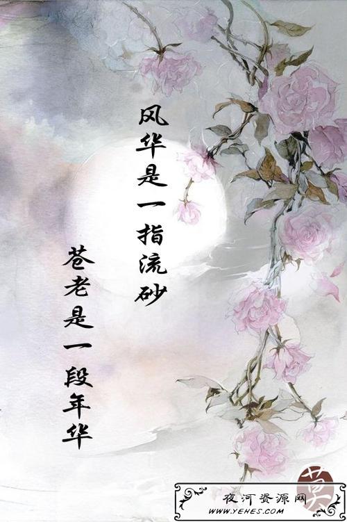 “风华是一指流砂，苍老是一段年华”是什么意思？