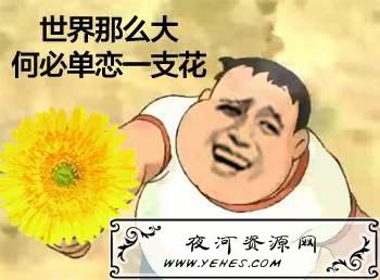 “人生何处无芳草，何必单恋一枝花”是什么意思？