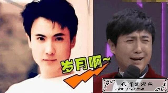 “岁月是把无情的杀猪刀”是什么意思？