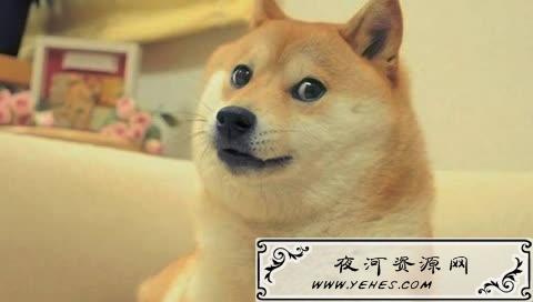 “起的比鸡早，睡的比狗晚”是什么意思？