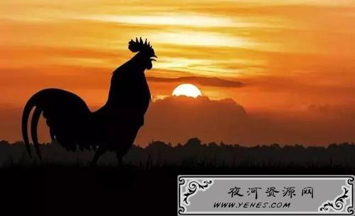 “起的比鸡早，睡的比狗晚”是什么意思？