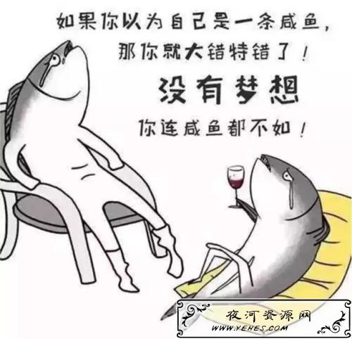 “做人如果没有梦想跟咸鱼有什么区别”什么意思？