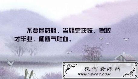 “不要迷恋哥，哥只是个传说”是什么意思？