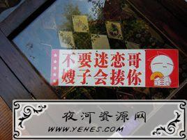“不要迷恋哥，哥只是个传说”是什么意思？