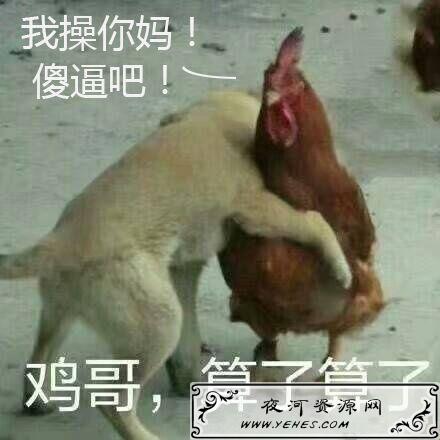 “社会我鸡哥,人狠话不多”是什么意思？